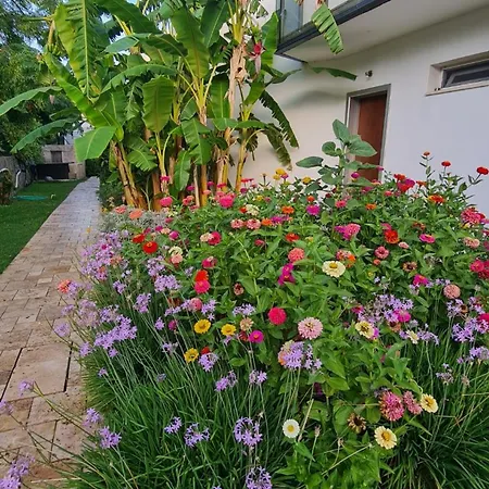 Sun Garden