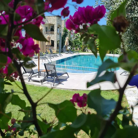 Sun Garden *
