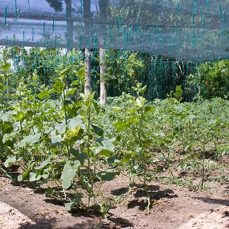 Aparthotel Sun Garden 4*