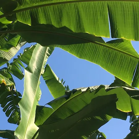 Sun Garden Lägenhetshotell 4*