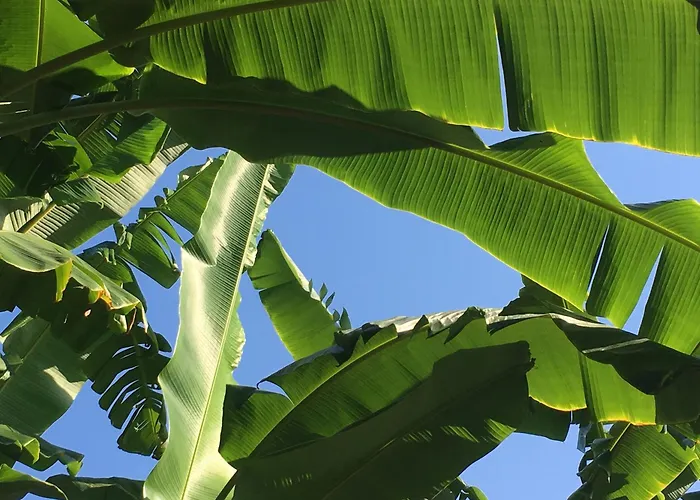 Sun Garden Apartahotel 4*