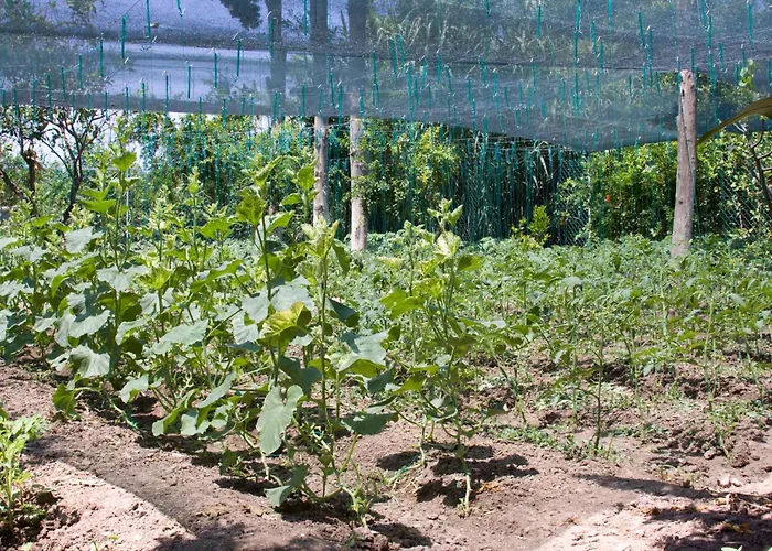 Apartahotel Sun Garden 4*