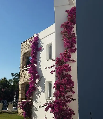 Apartahotel Sun Garden Yalıkavak